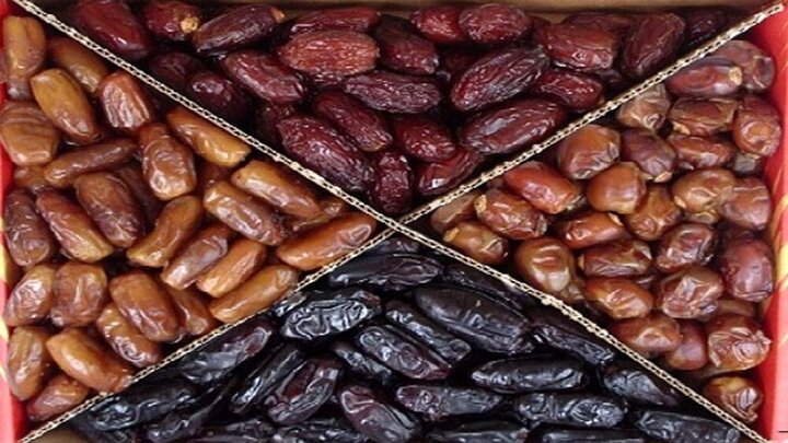 تصویر 5 از قیمت خرید خرما مجول مراکشی + فروش ویژه